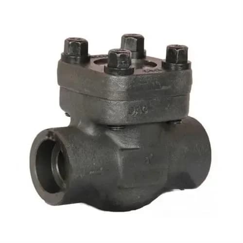 Non-Return (Check) Valves for buyers in Afghanistan